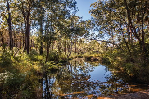 Blackdown Tableland National Park - Accommodation Cairns 2