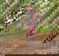 Bom Bom State Forest Mountain Bike Trails - Accommodation Cairns