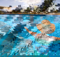 Boulia Sports and Aquatic Centre - Accommodation Cairns