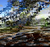 Bowen Mountain Park - Accommodation Cairns