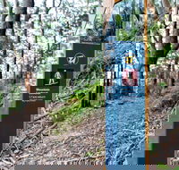 Bulahdelah Mountain Aboriginal Place - Accommodation Cairns