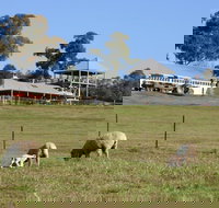 Calmsley Hill City Farm - Accommodation Cairns