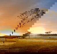 Cooyar - Accommodation Cairns