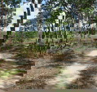 Djukbinj National Park - Accommodation Cairns