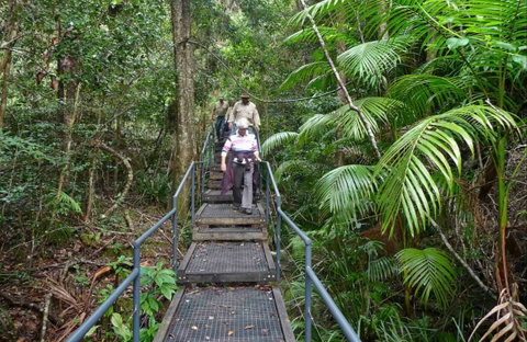 Falls Walking Track - Accommodation Cairns 0
