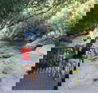 Josephine Falls walking track Wooroonooran National Park - Accommodation Cairns