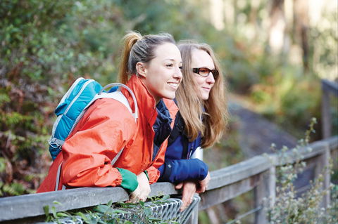 Kinglake National Park - Accommodation Cairns 2