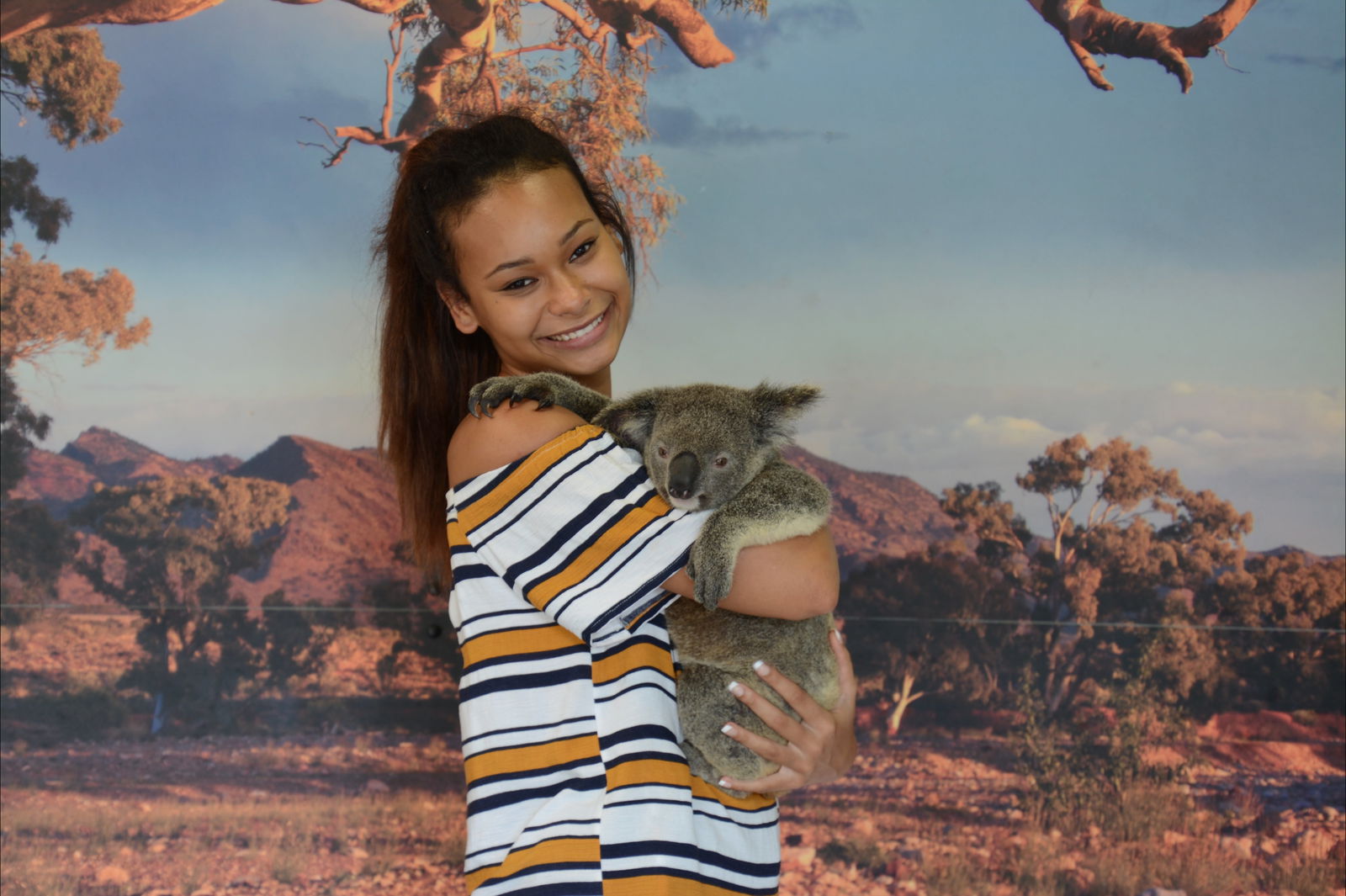 Aquariums Kuranda QLD Accommodation Cairns