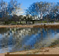 Lake King Wetlands at Rutherglen