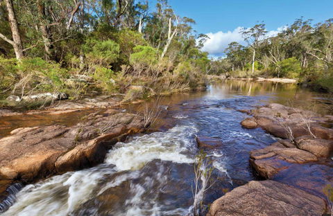Little Dandahra Creek Walking Track - Accommodation Cairns 0