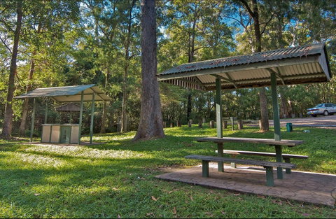 Minyon Grass Picnic Area - Accommodation Cairns 0