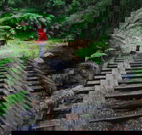 Montezuma Falls - Accommodation Cairns