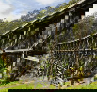 Noojee Trestle Bridge - Accommodation Cairns