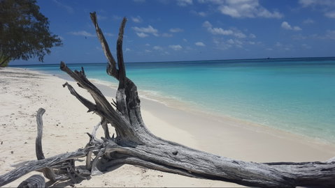 North West Island - Accommodation Cairns 0
