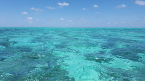 North West Island - Accommodation Cairns 1