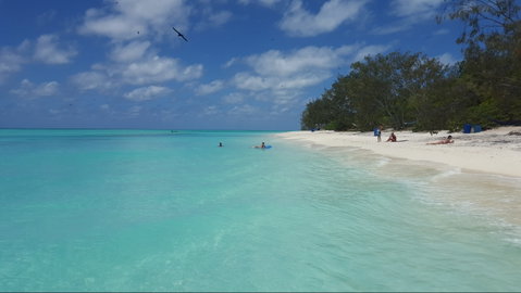 North West Island - Accommodation Cairns 2