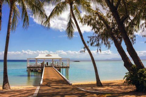 Orpheus Island - Accommodation Cairns 1
