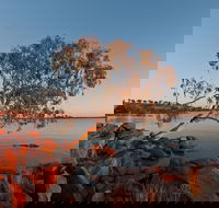 Peery Lake - Accommodation Cairns