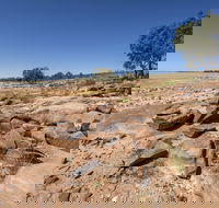 Peery Lake picnic area - Accommodation Cairns