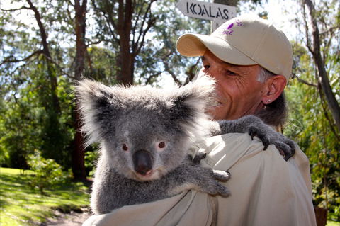 Potoroo Palace Native Animal Sanctuary - Accommodation Cairns 2