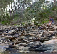 Rocksberg Park Heritage Reserve - Accommodation Cairns