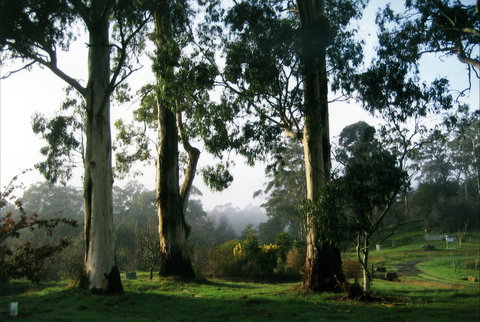 Tasmanian Arboretum Inc. - The - Accommodation Cairns 1