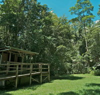 Terania Creek Picnic Area - Accommodation Cairns