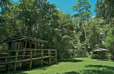 Terania Creek Picnic Area - Accommodation Cairns 0