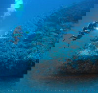 The Zanoni Wreck - Accommodation Cairns