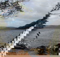 Walpole-Nornalup Inlet - Accommodation Cairns