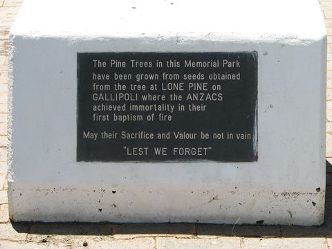 War Memorial And Heroes Avenue, Roma - Accommodation Cairns 1