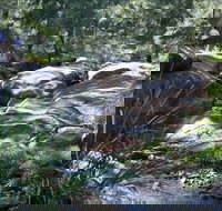 Washpools waterhole - Accommodation Cairns