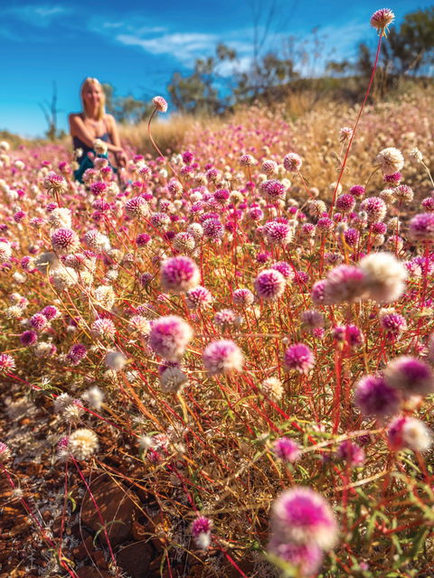 Wineries And Wildflowers - Accommodation Cairns 0