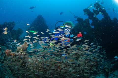 Aarhus Dive Site - Accommodation Cairns 0