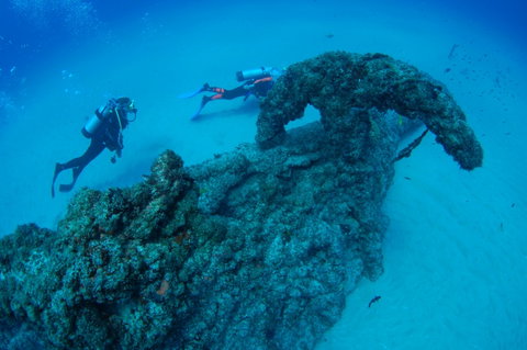 Aarhus Dive Site - Accommodation Cairns 1
