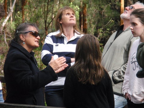 Ancient Empire Walk, Valley Of The Giants - Accommodation Cairns 1