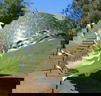 Big Murray Cod - Accommodation Cairns