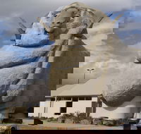 Big Merino - Accommodation Cairns