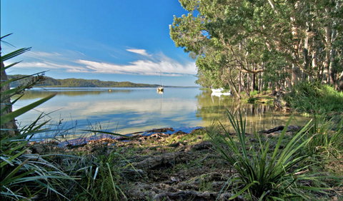 Black Oaks Picnic Area - Accommodation Cairns 0