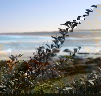 Cape Conran Coastal Park - Accommodation Cairns