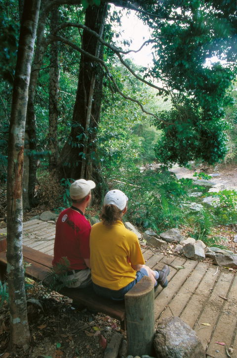 Cedar Creek Falls - Accommodation Cairns 1