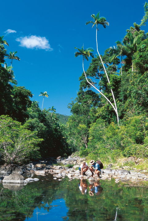 Cedar Creek Falls - Accommodation Cairns 2