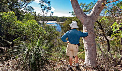 Corkwood And Scribbly Gum Walking Track - Accommodation Cairns 0