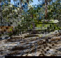 Couridjah Corridor Walk - Accommodation Cairns
