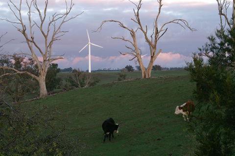 Crookwell Wind Farm - Accommodation Cairns 1