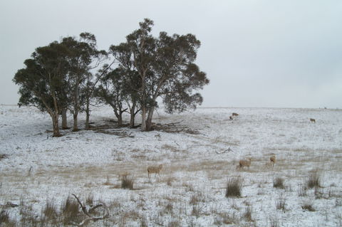 Crookwell Wind Farm - Accommodation Cairns 2