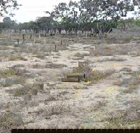 Culgoa Connellys Track - Accommodation Cairns