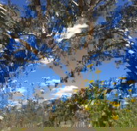 Euroa Arboretum - Accommodation Cairns