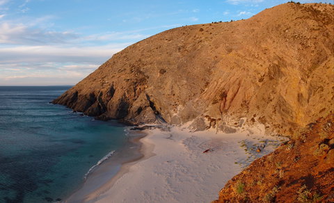 Fleurieu Peninsula Sea Kayak Trail - Accommodation Cairns 2