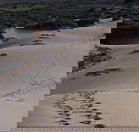 Foreshore Walk Mungo National Park - Accommodation Cairns